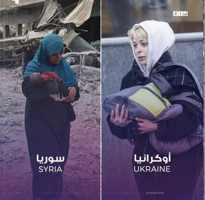 کشته شدن چشمآبیها دردناکتر است؟