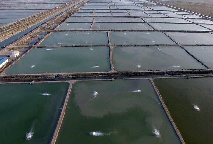 گلستان امیدوار به تحقق ظرفیتهایی که رییسی در ایام انتخابات برشمرد