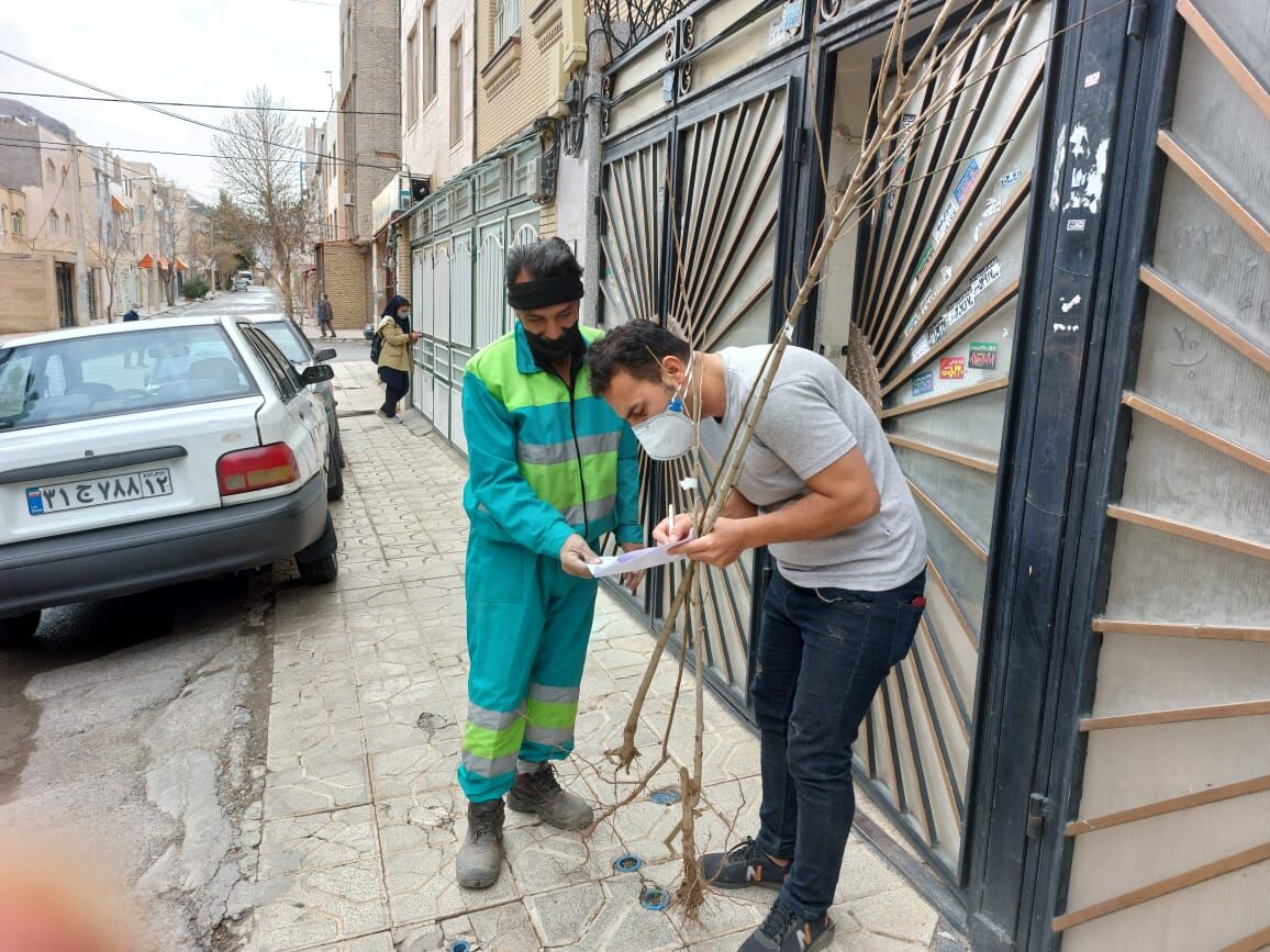 ۳۰ هزار اصله نهال رایگان بین شهروندان مشهدی توزیع شد