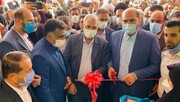 Iran gehört im Bereich von Stammzellen zu den Top 5 Ländern der Welt