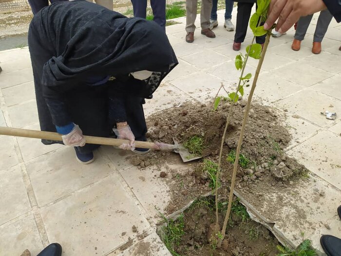 يوم 6 مارس...الإيرانيون یحتفلون بيوم التشجیر بغرس الاشجار