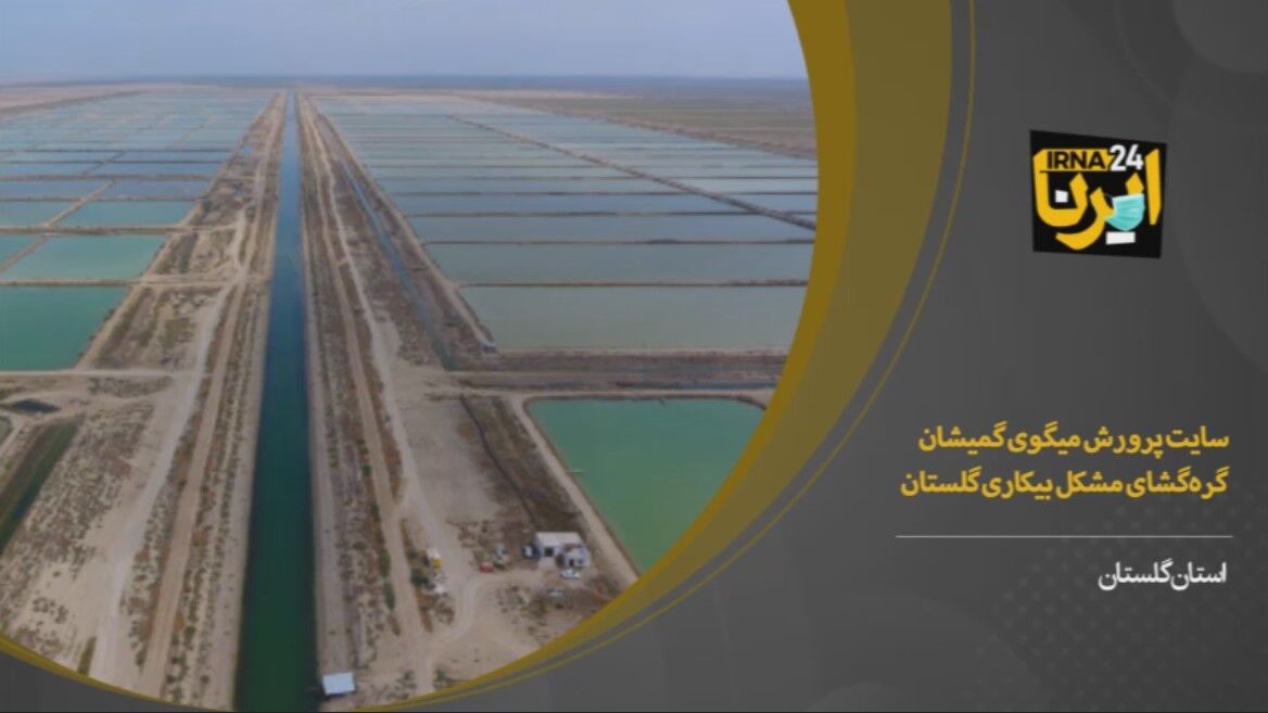  فیلم/ توسعه سایت پرورش میگو گمیشان گره‌گشای بیکاری گلستان