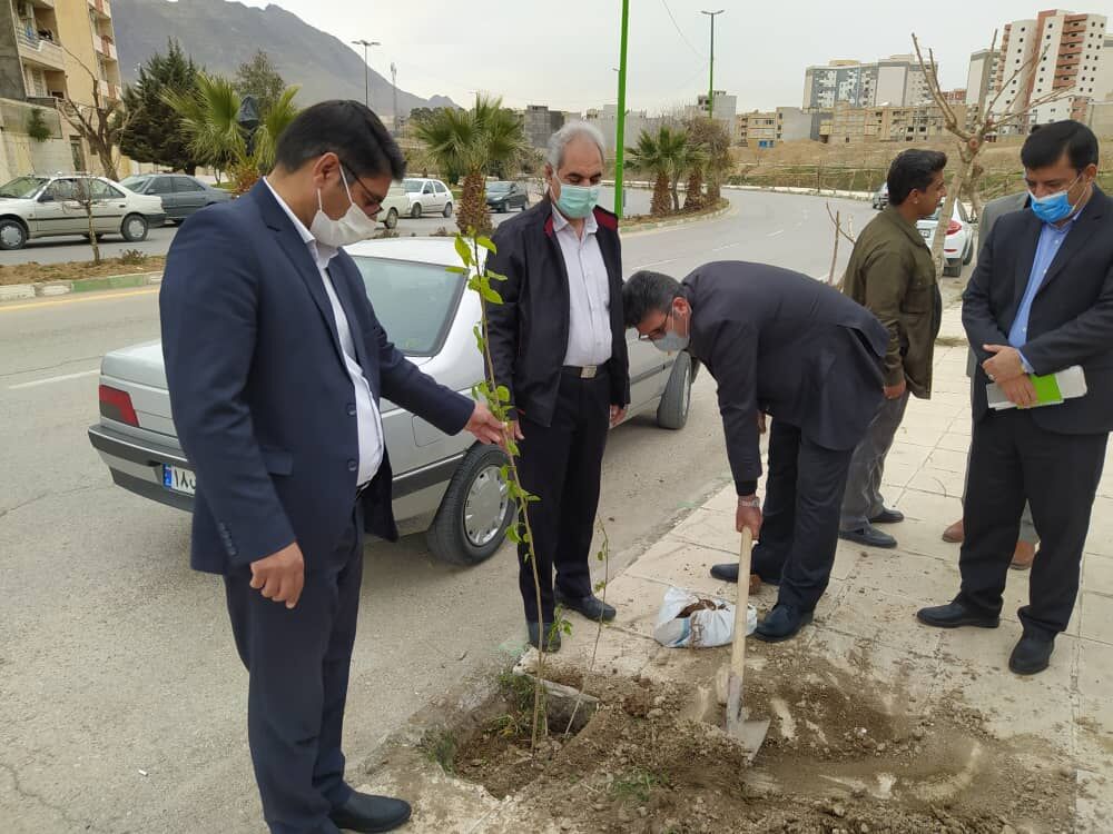 کاشت درخت در ساحلی خرم رود خرم‌آباد آغاز شد