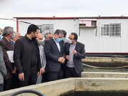 وزیر جهادکشاورزی بر حمایت از طرح های شیلاتی گلستان تاکید کرد