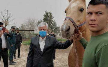 وزیر ورزش و جوانان از مرکز پرورش اسب اصیل ترکمن در کلاله دیدن کرد