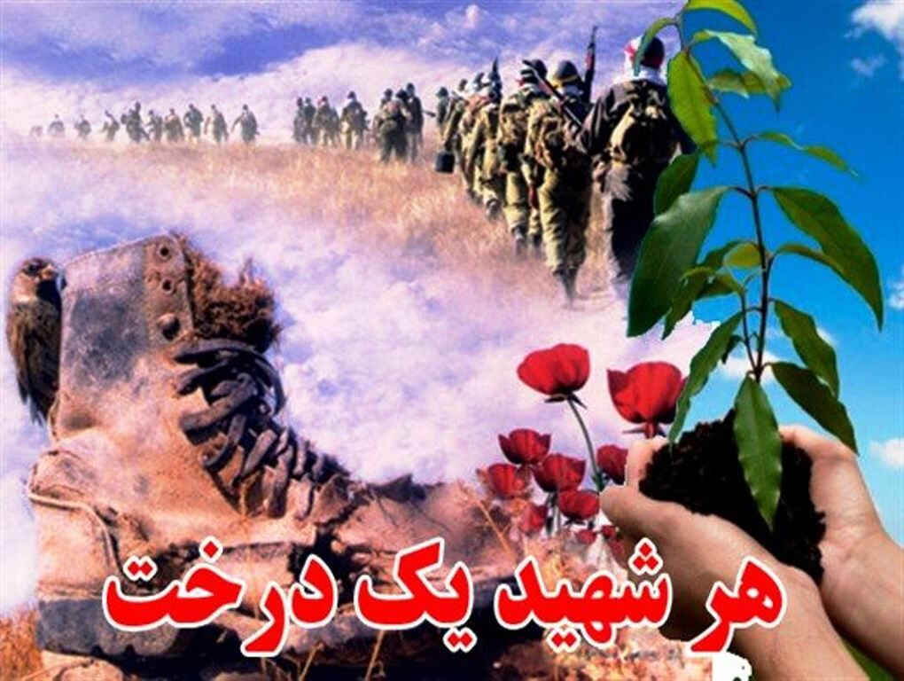 پویش کاشت ۱۴ هزار اصله نهال به یاد شهدای استان یزد آغاز شد 
