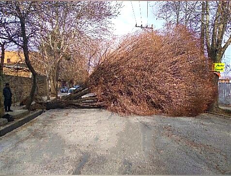 طوفان در اقلید فارس، خسارت داشت طوفان در اقلید فارس، خسارت داشت