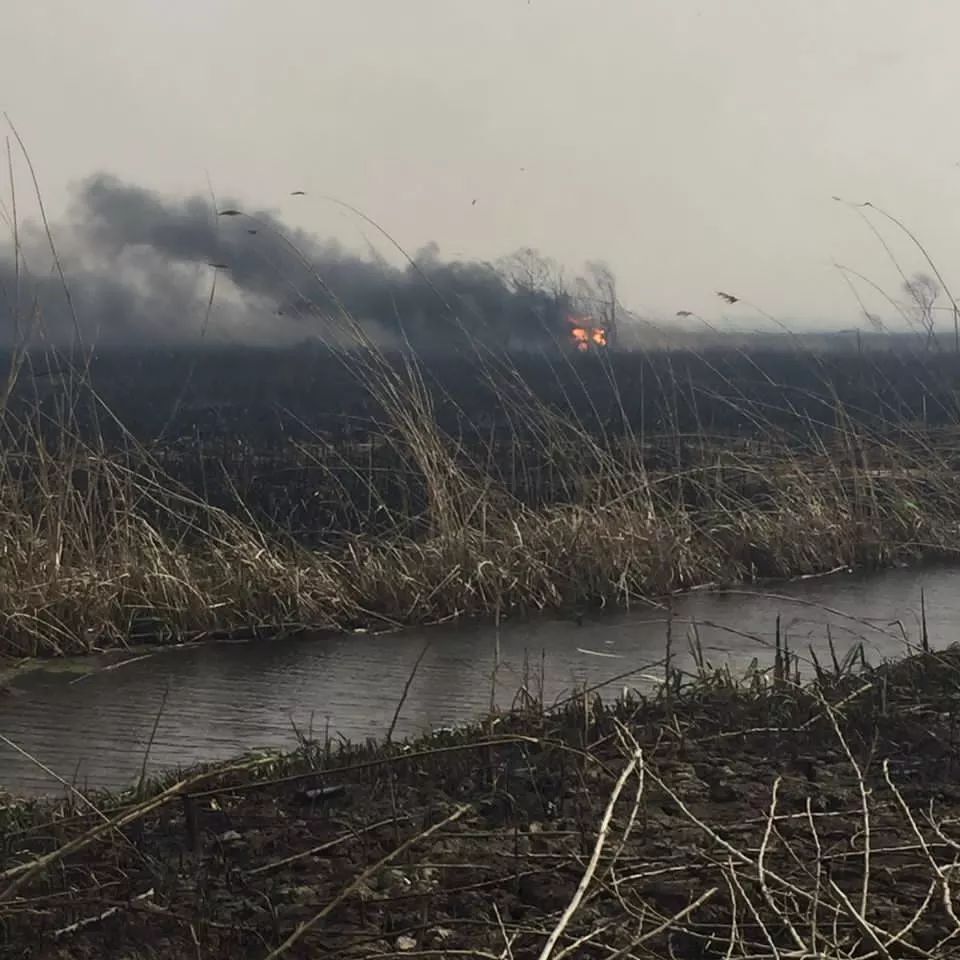 ۶۰ هکتار از تالاب انزلی طعمه حریق شد  ۶۰ هکتار از تالاب انزلی طعمه حریق شد