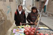 ایرانی فلم When Pomegranates Howl کی بنگلور میلے میں نمائش ہوگی