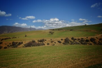 زباله کیاسر