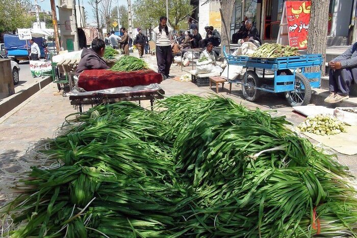 گیاهان دارویی کهگیلویه و بویراحمد گنجینه ای رها شده