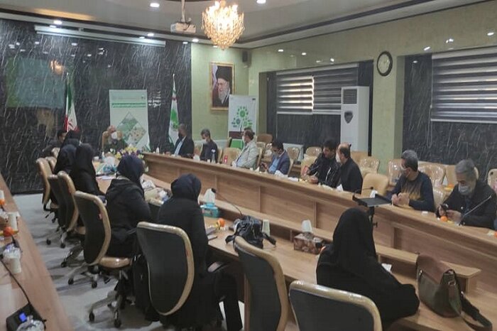 تمامی اراضی ملی کردستان امسال سنددار میشود