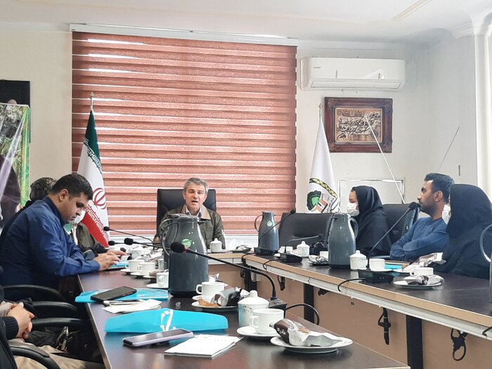 سال آینده ۱۲ میلیون نهال در گلستان تولید میشود