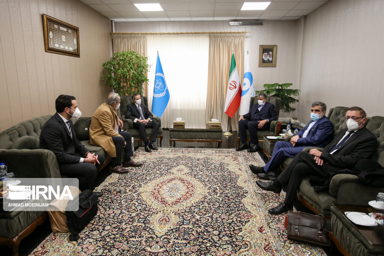 AEOI, IAEA chiefs meet in Tehran