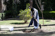 Planting saplings by Supreme Leader on Arbor Day