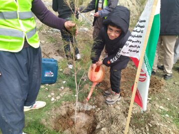 غرس ۳۷۰ نهال دربوکان به یاد۳۷۰ شهید این شهرستان