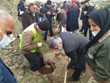 غرس ۳۷۰ نهال دربوکان به یاد۳۷۰ شهید این شهرستان