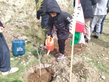 غرس ۳۷۰ نهال دربوکان به یاد۳۷۰ شهید این شهرستان