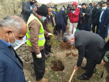 غرس ۳۷۰ نهال دربوکان به یاد۳۷۰ شهید این شهرستان