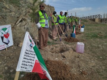 غرس ۳۷۰ نهال دربوکان به یاد۳۷۰ شهید این شهرستان