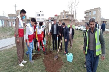 غرس نهال به مناسبت هفته منابع طبیعی در اشنویه