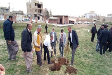 غرس نهال به مناسبت هفته منابع طبیعی در اشنویه