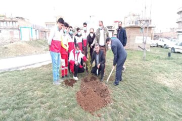 غرس نهال به مناسبت هفته منابع طبیعی در اشنویه