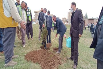 غرس نهال به مناسبت هفته منابع طبیعی در اشنویه