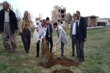 غرس نهال به مناسبت هفته منابع طبیعی در اشنویه