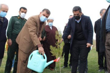 غرس نهال به مناسبت هفته منابع طبیعی در اشنویه