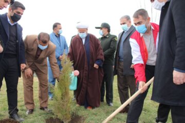 غرس نهال به مناسبت هفته منابع طبیعی در اشنویه