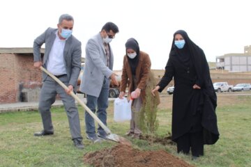 غرس نهال به مناسبت هفته منابع طبیعی در اشنویه