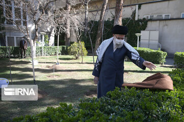 Planting saplings by Supreme Leader on Arbor Day