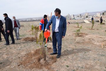 شهروندان پاکدشتی ۱۱۰ اصله درخت مثمر کاشتند