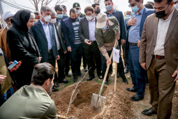 جشن بزرگ درختکاری در کرمانشاه