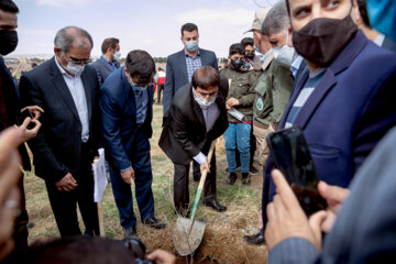 جشن بزرگ درختکاری در کرمانشاه