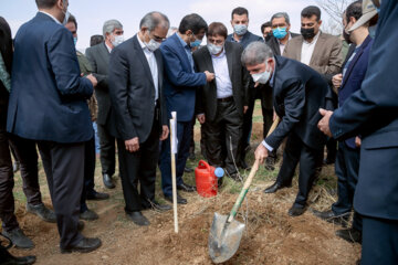 جشن بزرگ درختکاری در کرمانشاه