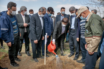 جشن بزرگ درختکاری در کرمانشاه