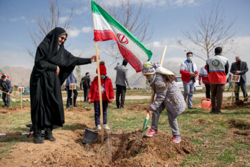 جشن بزرگ درختکاری در کرمانشاه