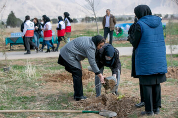 جشن بزرگ درختکاری در کرمانشاه