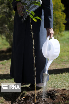 e Guide suprême a planté de jeunes arbres à l'occasion de la Journée nationale de la plantation d'arbres