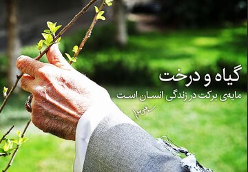 شعار هر ایرانی یک درخت؛ روایت بایسته‌های سبزینگی ایران در کلام رهبری