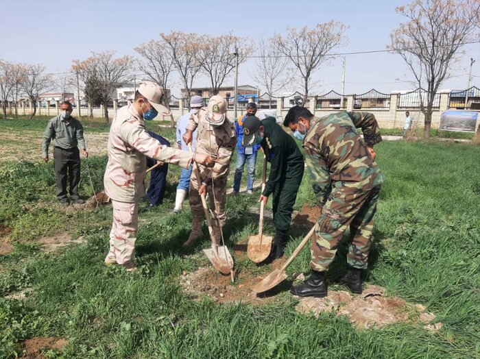 امسال ۲۰۰ هزار اصله نهال رایگان در گنبدکاووس توزیع میشود