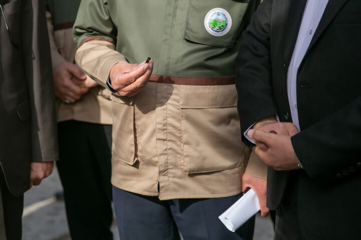 درختان جنگلی کرمانشاه صاحب شناسنامه الکترونیک میشوند