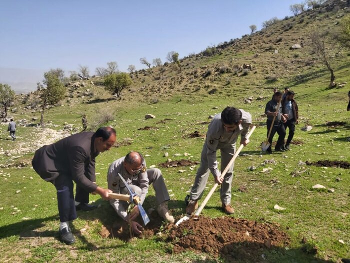 مدیرکل منابع طبیعی البرز: مسوولان برای کمک به اجرای طرح آبخیز شهری درنگ نکنند