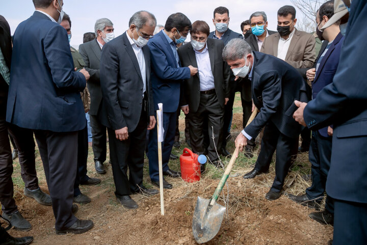 استاندار کرمانشاه: کاشت درخت مثمر باید به یک فرهنگ عمومی تبدیل شود