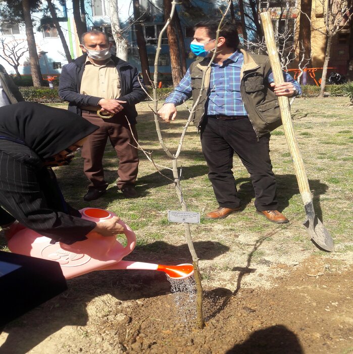 گرامیداشت زندهیاد استاد ناصر منصوری با کاشت یک نهال