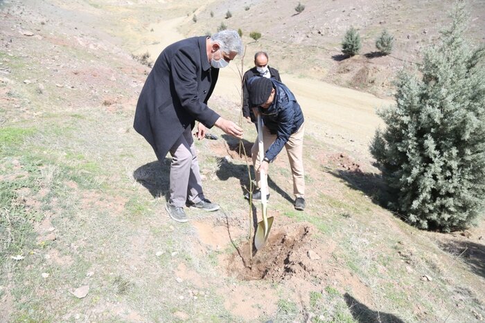 سرانه جنگل در ایران 17 صدم هکتار است 2