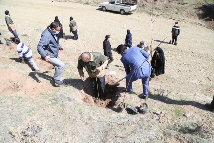 حفاظت از جنگلها در دستور کار قرار گیرد