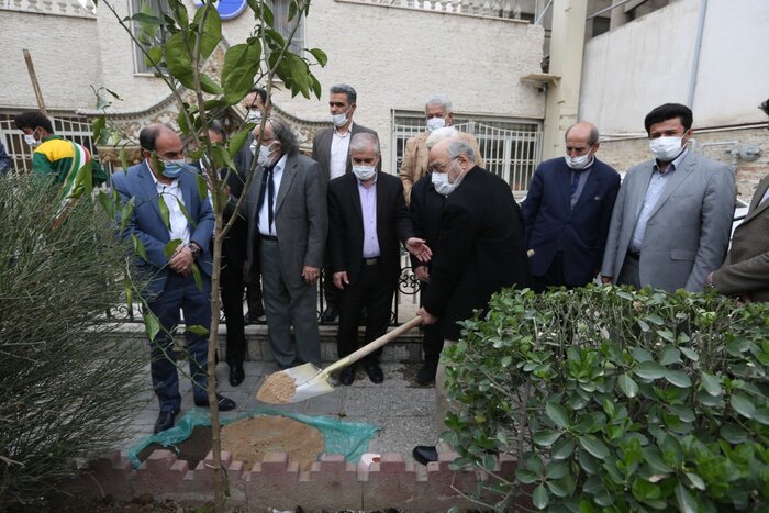 یاد هنرمندان فقید با کاشت درخت جاودانه شد 2